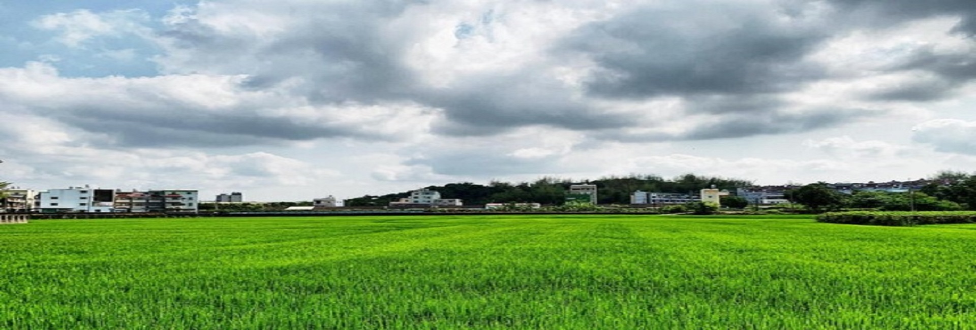 Eldeco Sidcul Industrial Park Banner Image